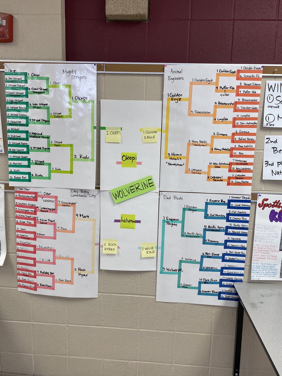 Mrs_Garman's tweet photo. For the last month, my enriched science flex has been participating in March Mammal Madness.  Congrats to the winners!  #nrinspiregreat @MMMletsgo https://t.co/OUI4ezo7Tf