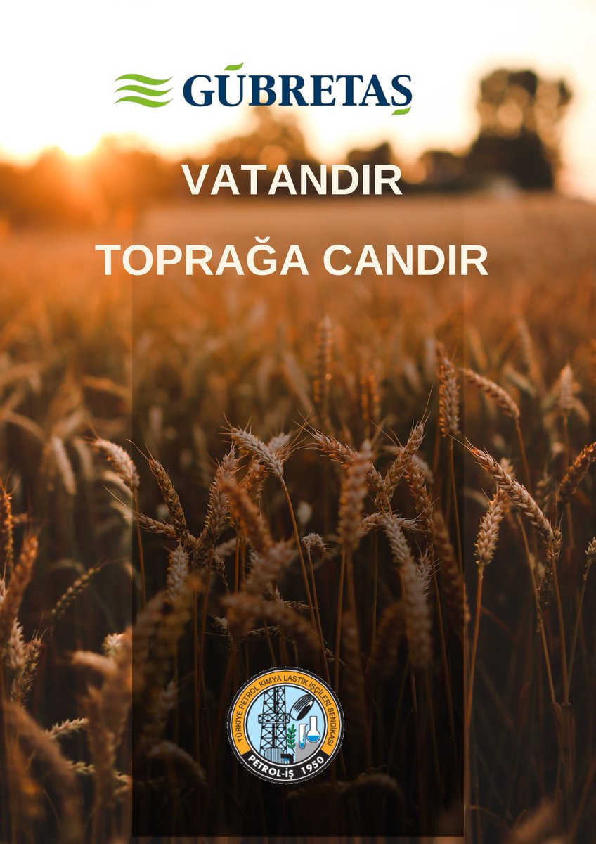 petroliskocaeli's tweet photo. #gubretasvatandır https://t.co/FSaWM1lfkp