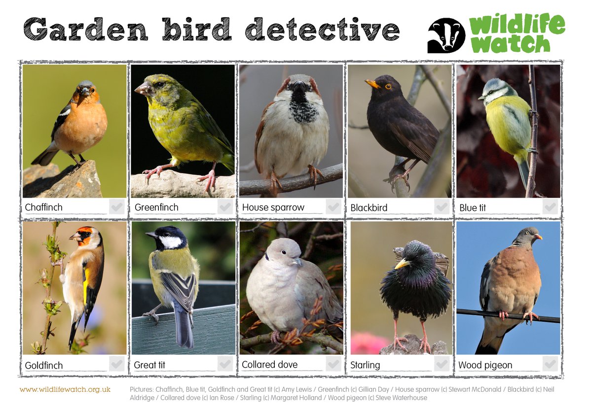 WildlifeTrusts tweet picture