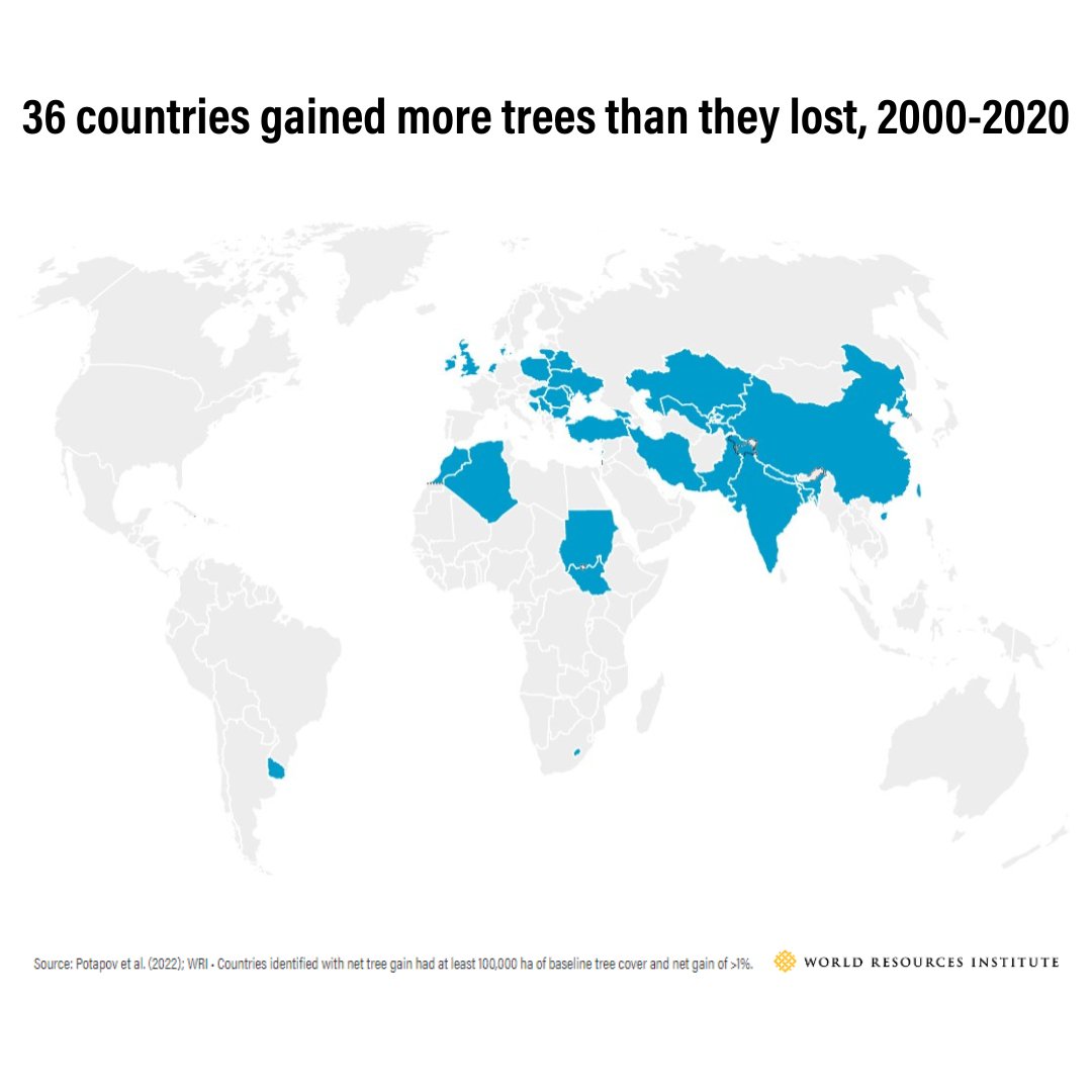 Ever wonder… 
How much #TreeCoverGain occurred globally between 2000 and 2020? 
How is tree cover gain distributed throughout the world? 

Answers to these questions and more on the #GlobalForestReview:
gfw.global/3gfBM5E

#EarthWeek