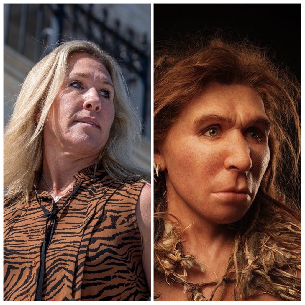 OvereducatedAFVermin 🐀🍩🥀🇺🇦🥁🪷 tweet media