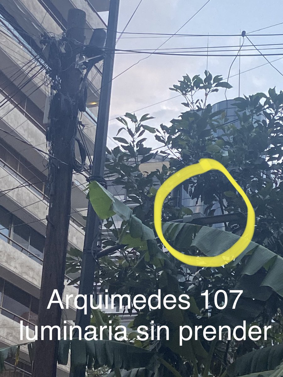 ursus_19's tweet photo. @MHcesac solicitamos apoyo para atender luminaria apagada en Arquimedes 107 de noche hace falta iluminación sobre ese tramo de la calle ya que está oscuro. @AlcaldiaMHmx @mauriciotabe https://t.co/rjiHralvh8