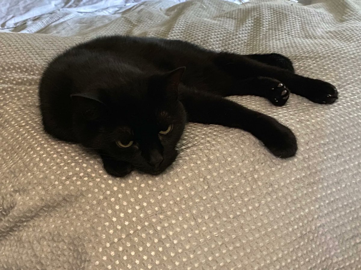 David John Jones tweet media