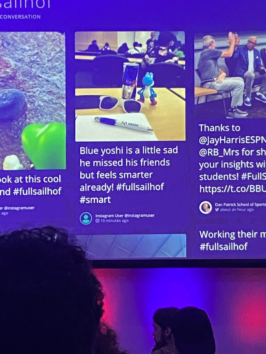 Is blue yoshi okay? These are the questions i need to know here #fullsailhof