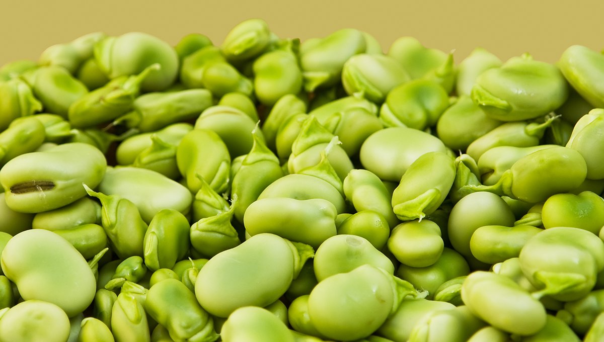 Today is #LimaBeanRespectDay, a time for us to appreciate all that it is. When cooked, fresh #limabeans have a creamy texture. However, dried lima beans, once cooked, have a bad reputation due to their graininess. How do you prefer them? Comment below