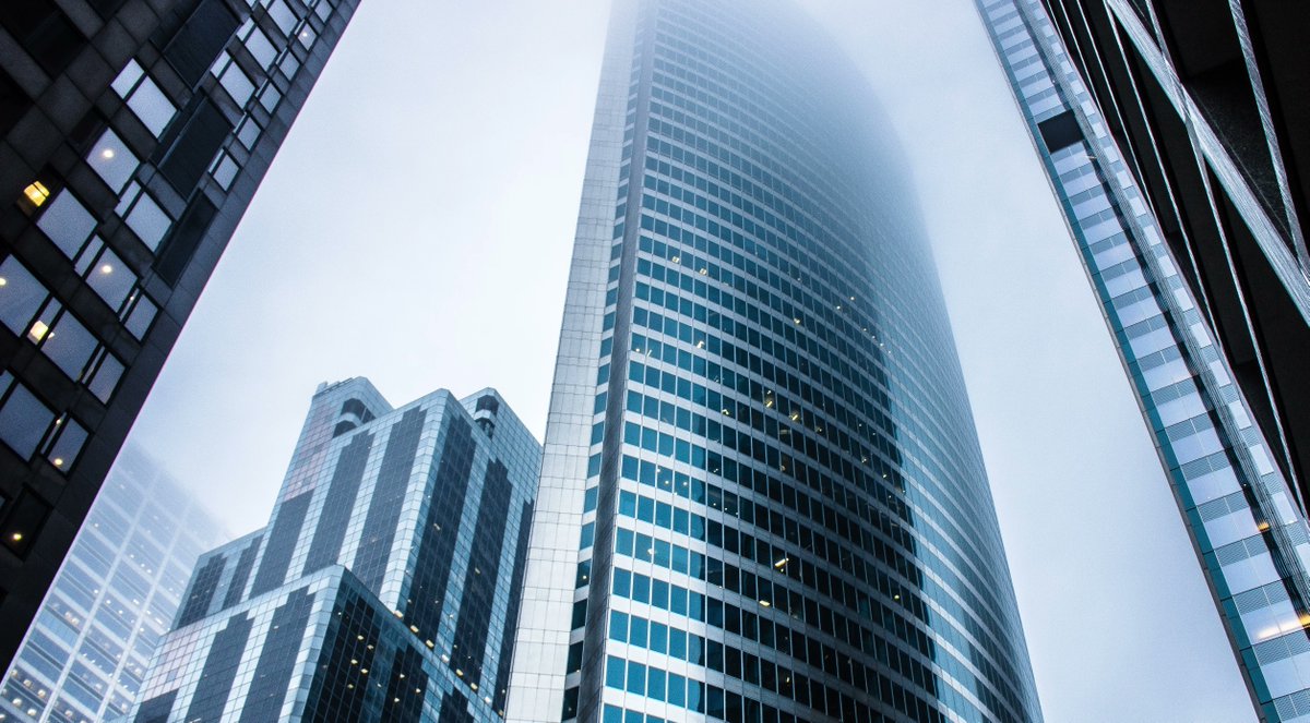 Mitigating risk is one of the most important responsibilities an organization’s finance leader has. So why do so few pay attention to procurement? 

In this post, take a look at risks inherent in #PublicProcurement and why finance leaders should care: buff.ly/3MGuBS7
