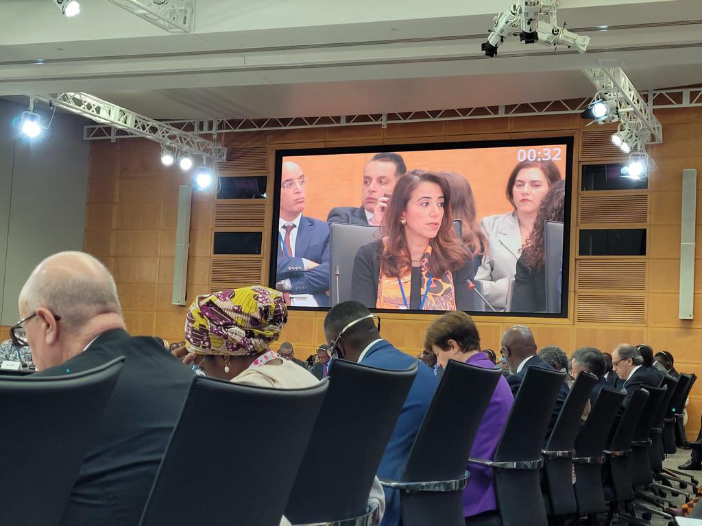 ECA_OFFICIAL's tweet image. 2/4 At the Africa Consultative Group meeting, ECA’s DES @HananMorsy14 emphasized the need to adapt the #IMF operational model and reinvigorate its lending instruments to deal with frequent and recurrent global shocks as well as the urgency for overhauling the G20 #CommonFramework