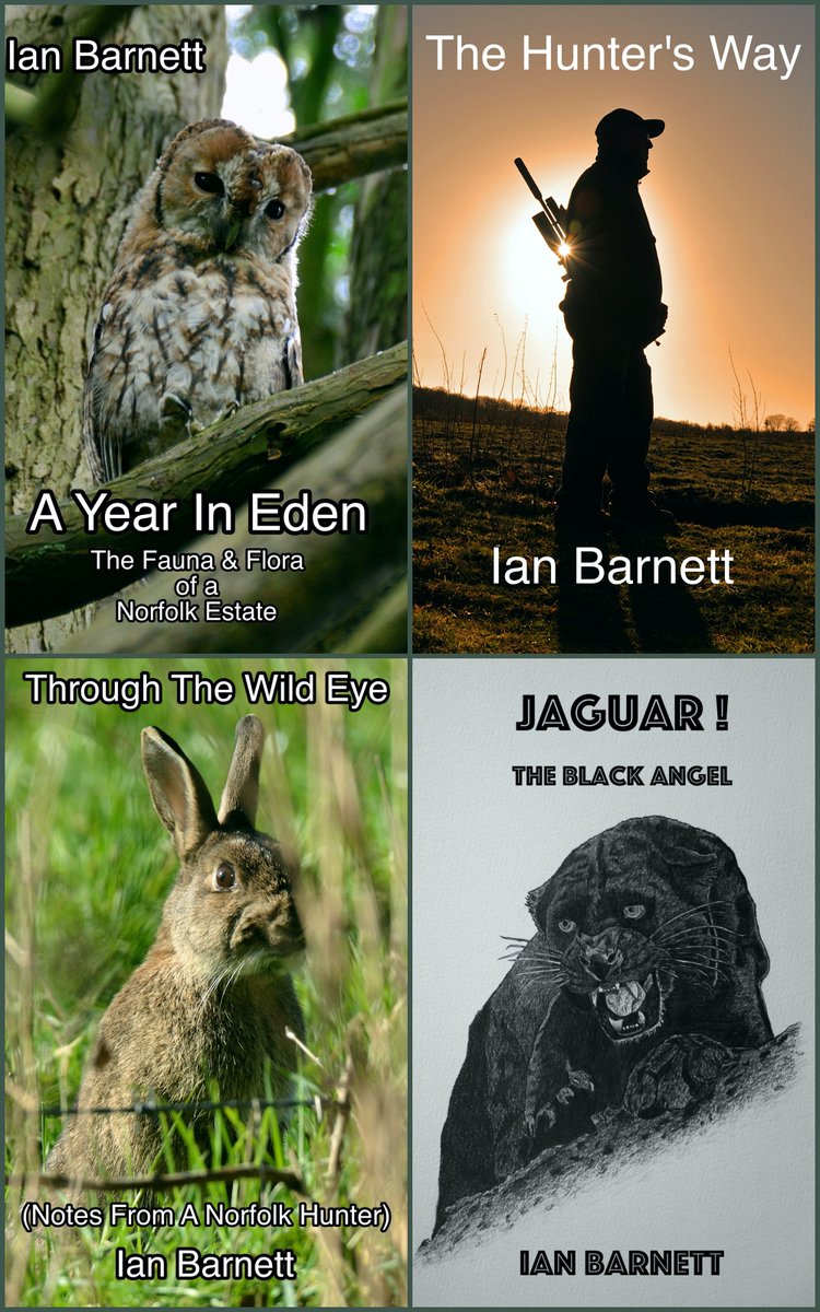 Ian Barnett, Woodscorcher & Wildscribbler tweet media