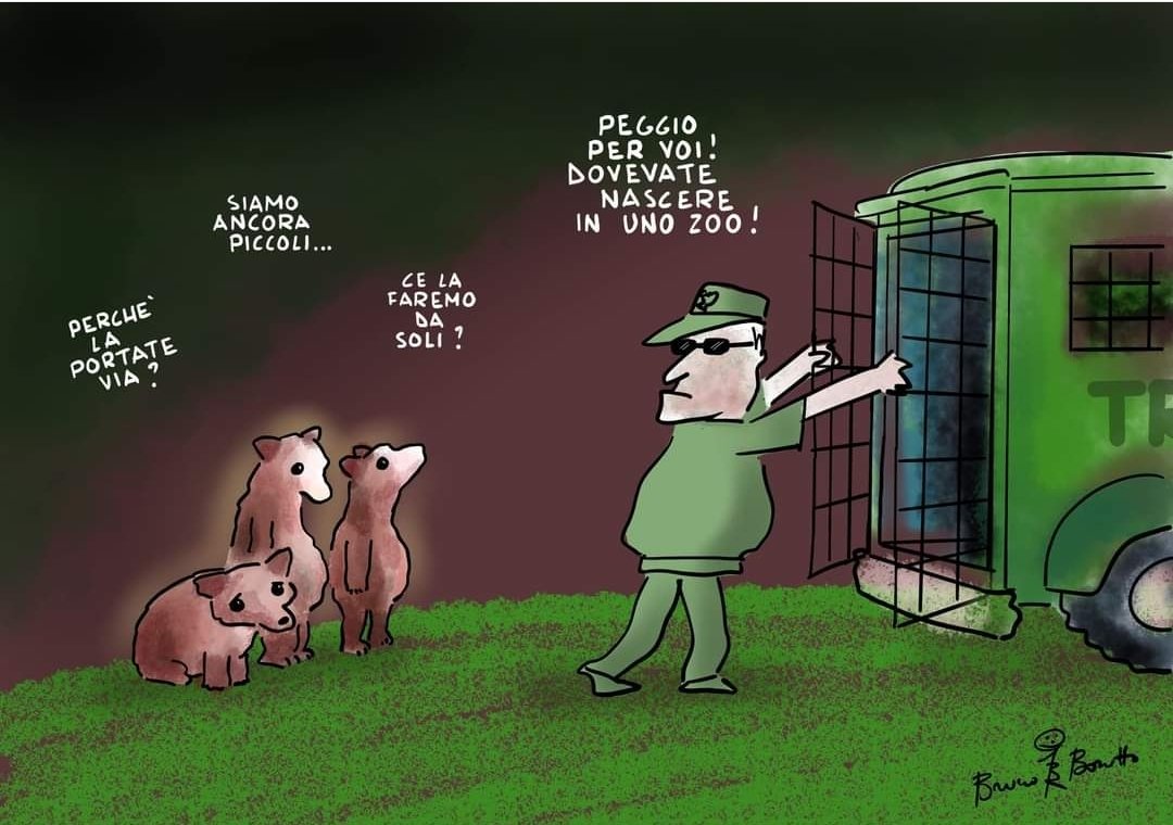akakarolina's tweet photo. Dedicato a tre cuccioli d'orso
Bruno Bozzetto
#illustrazione #iostocongliorsi #mammaorsa https://t.co/j8tkpMe27p https://t.co/mh2l91o05z