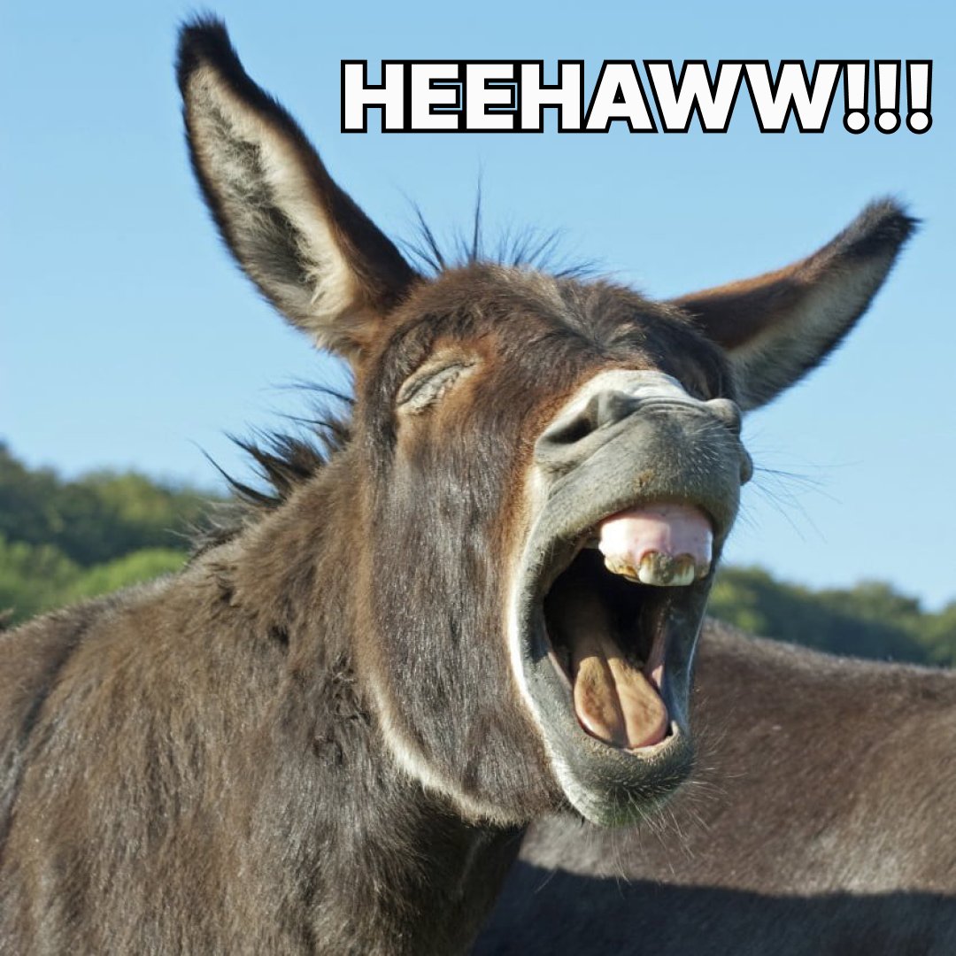 donkeycoineth's tweet photo. HEEHAWW!!! $PEPE @pepecoineth GOT RUGGED AGAIN

DONT FUCK WITH THE $DONKEY https://t.co/LyBGQjS4P6