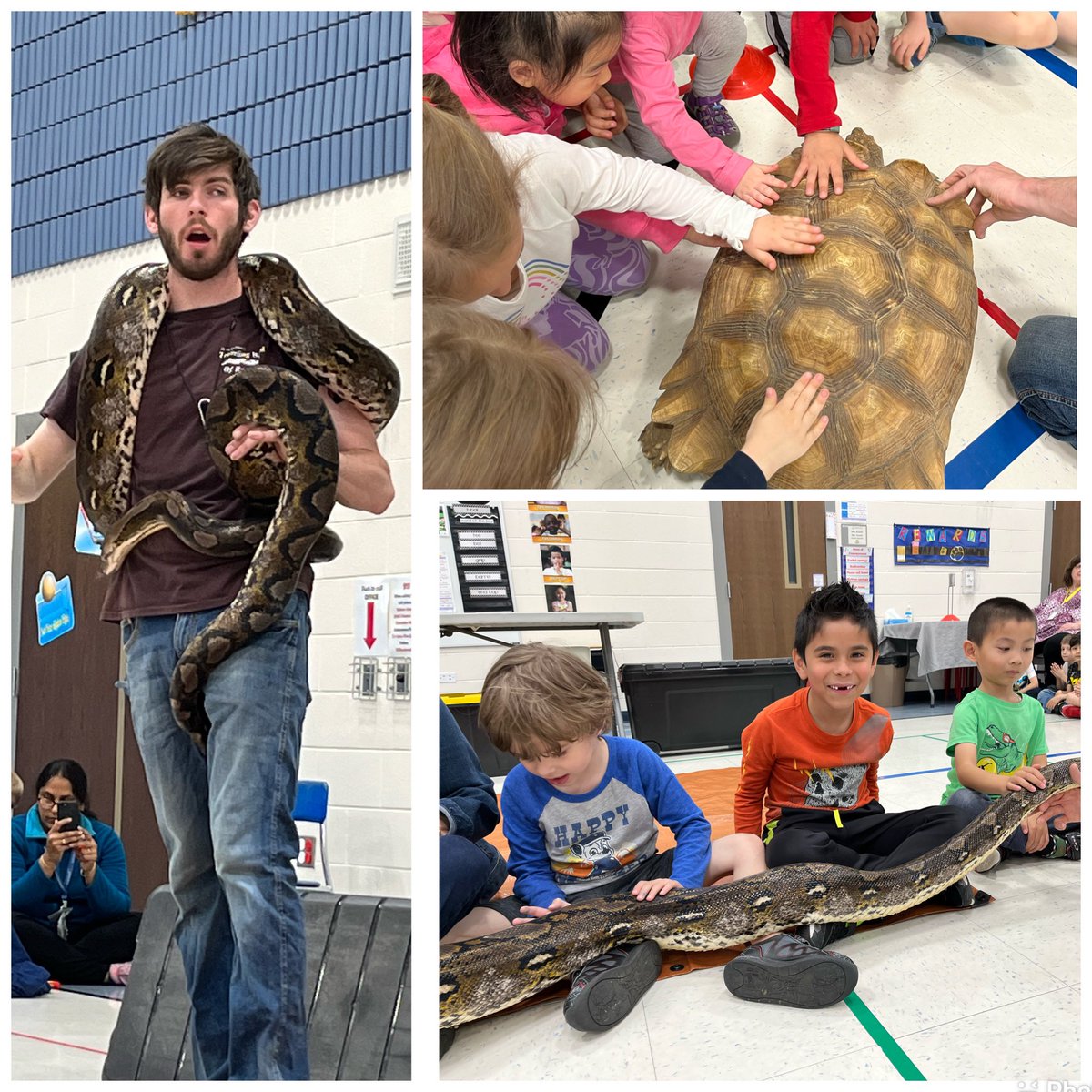 Lissa Blake tweet media