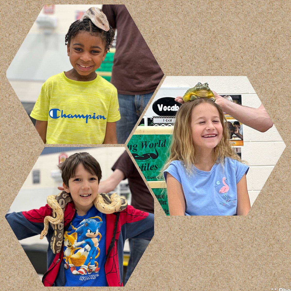 Lissa Blake tweet media