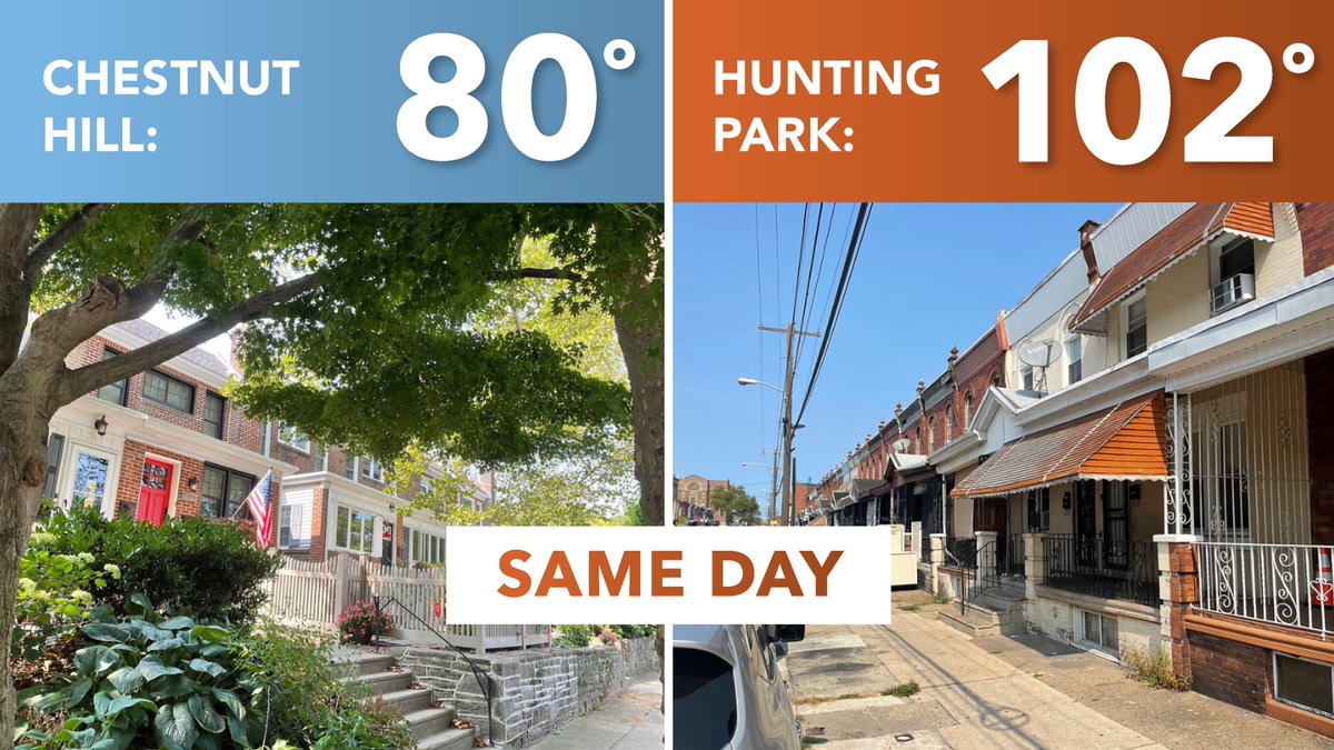 PHParksAlliance's tweet photo. We asked the mayoral candidates what steps they will take to reduce heat islands in Philadelphia and if street trees be part of their plans. You can find their answers here:

https://t.co/2cSCVdA2FT

#treephilly #greenphilly #philly #phillymayoralrace https://t.co/UNfGxZmBvL