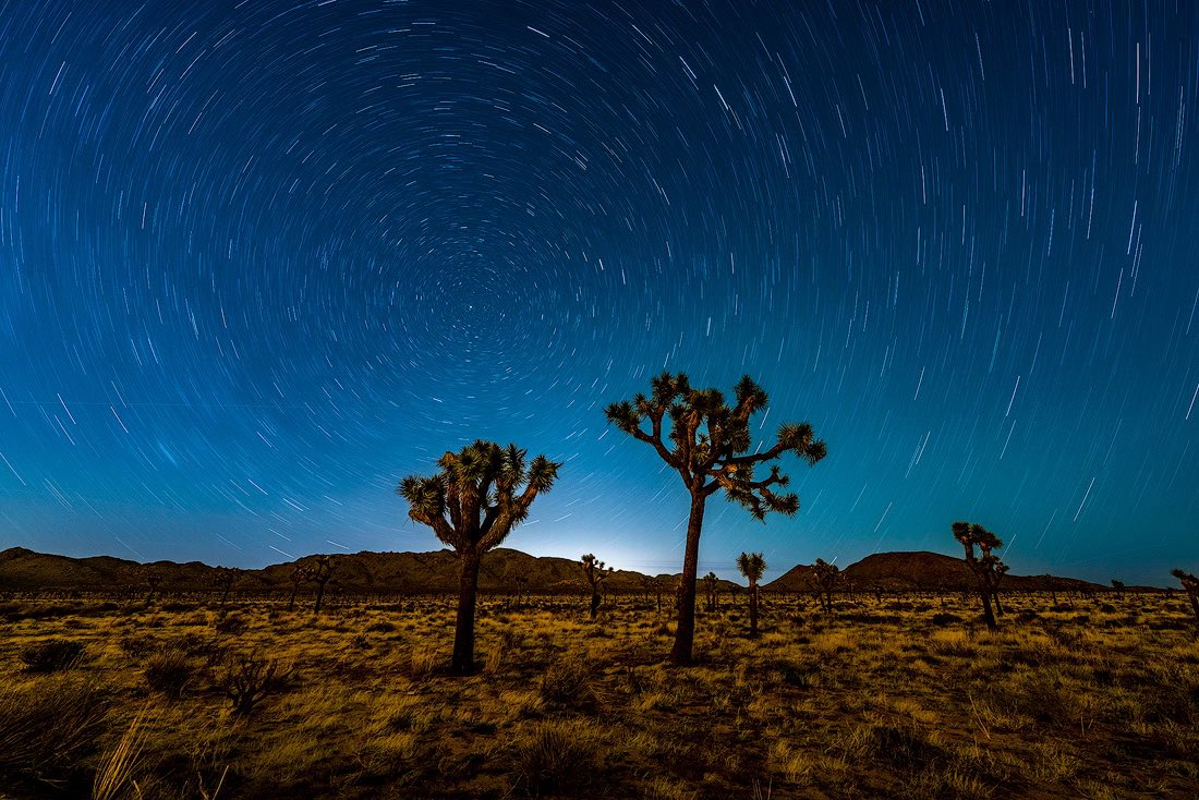 shrkshtr's tweet image. I haven't photographed star trails for years but had a blast last night with friends in Joshua Tree NP capturing this one! 

Sony a7RV, Sony 12-24mm

#sonyartisan #astrophotography #ReallyRightStuff #startrails #startrailsphotography #joshuatreenationalpark