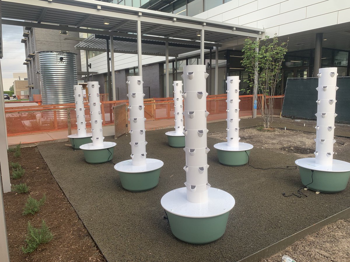 Mise en place d’un deuxième jardin hydroponique. C’est tout simplement beau! #hydroponic #hydroponie <a href="/awtyintlschool/">Awty Intl. School</a>