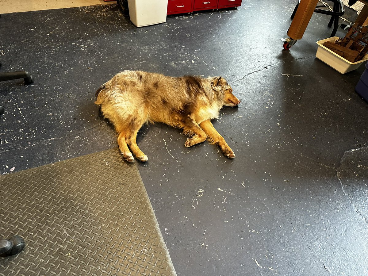 Just having a quick nap at the office.