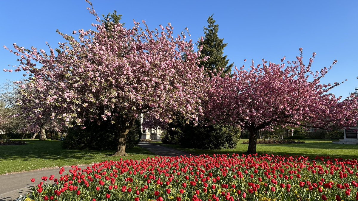 scruffyDuke's tweet photo. Alexandra Gardens looking absolutely lush in #Cardiff this morning https://t.co/vm8uuCduIt