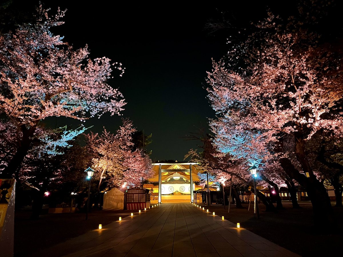 TokyoMoca's tweet photo. 今回は神保町で回転寿司、そして千鳥ヶ淵で夜桜を堪能しました✨美味しいお寿司で乾杯の後の夜桜は最高でした🍻💕皆さま、ビール片手にご覧ください👭✨

動画はコチラから💖
https://t.co/3iR9um1THi https://t.co/Z5hE0fDj8N