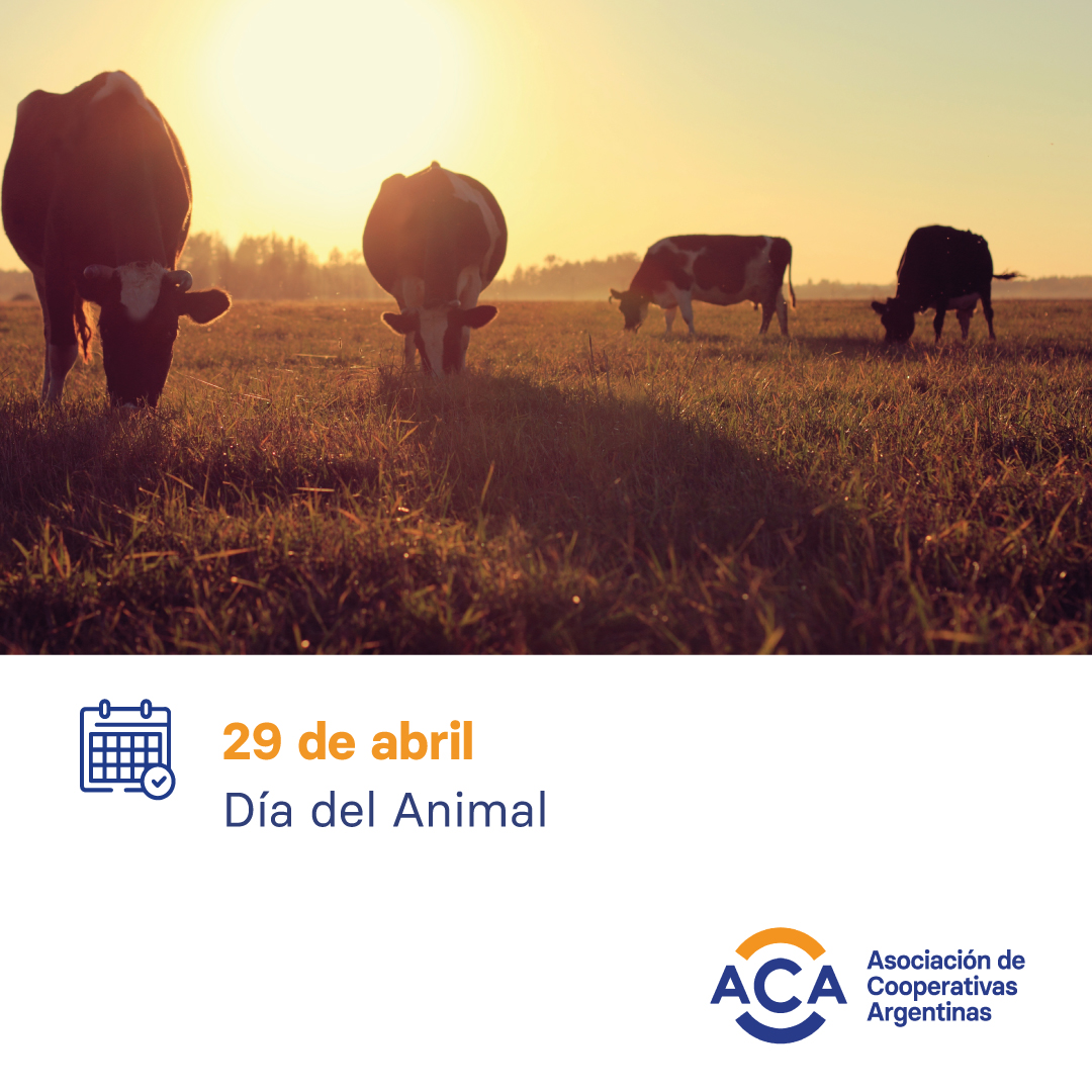 ACAcoop's tweet photo. ¡Feliz día del animal! 🐄

#acacoop #campo #agro #campoargentino #agroargentino #cooperativismo #argentina https://t.co/rvZw0GaCYS