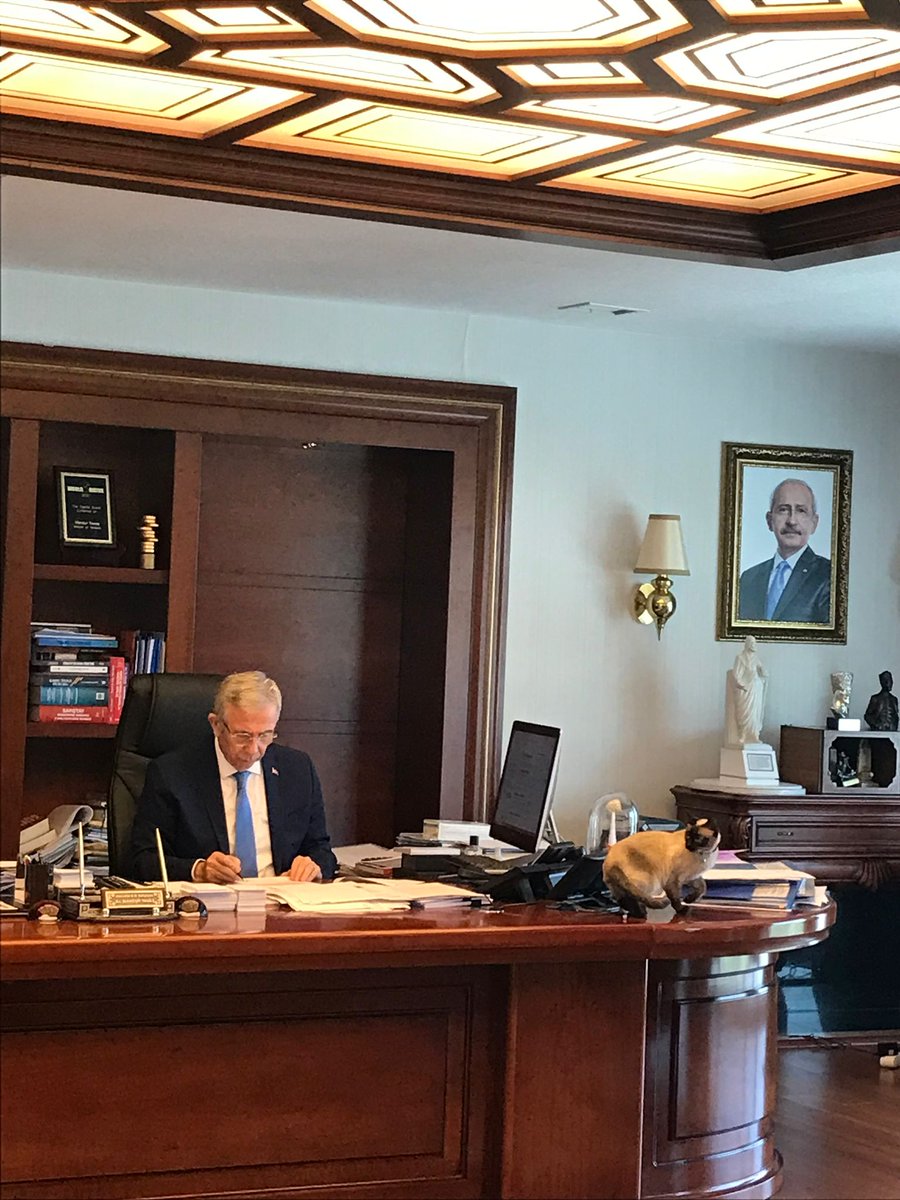 Trafolar bende başkanım 🫡