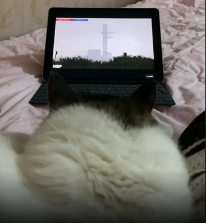 KeyboardsMetal's tweet photo. @elonmusk https://t.co/UV2z7h0rGj