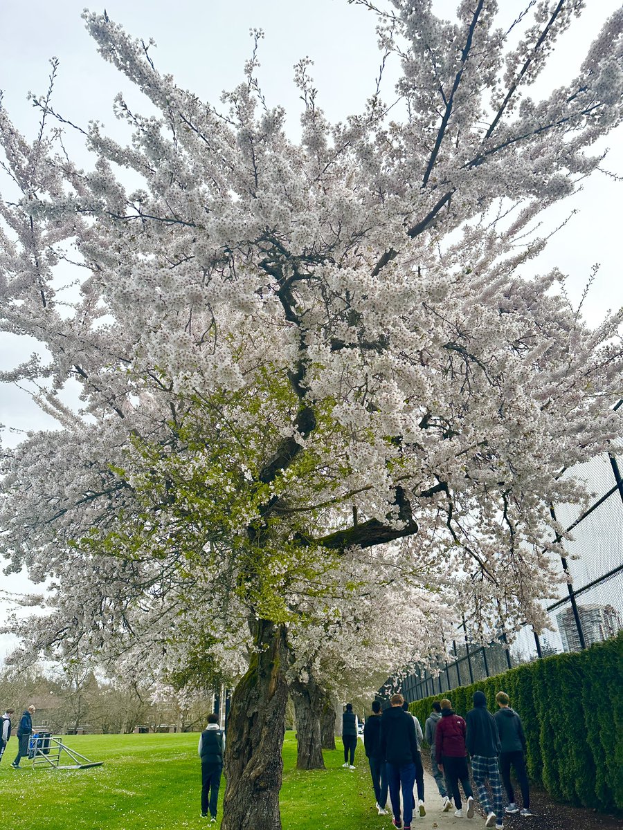 UHill Secondary tweet media