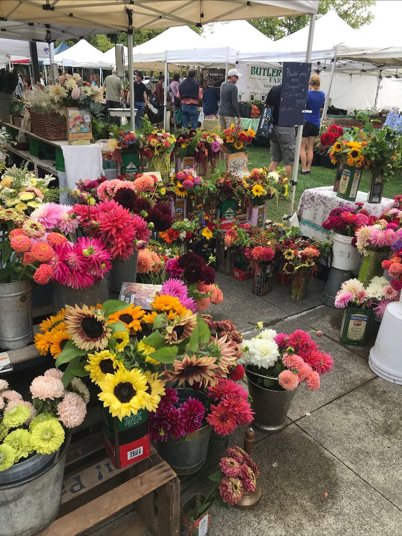 What's Fresh! Weekly Newsletter - mailchi.mp/63eda31d2918/w…

April Showers With Flowers!