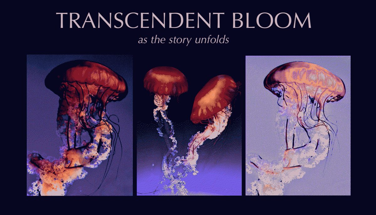 🫧 transcendent bloom 🫧

watch as the story unfolds 👀

auction starts in 30 minutes, link below ⤵️