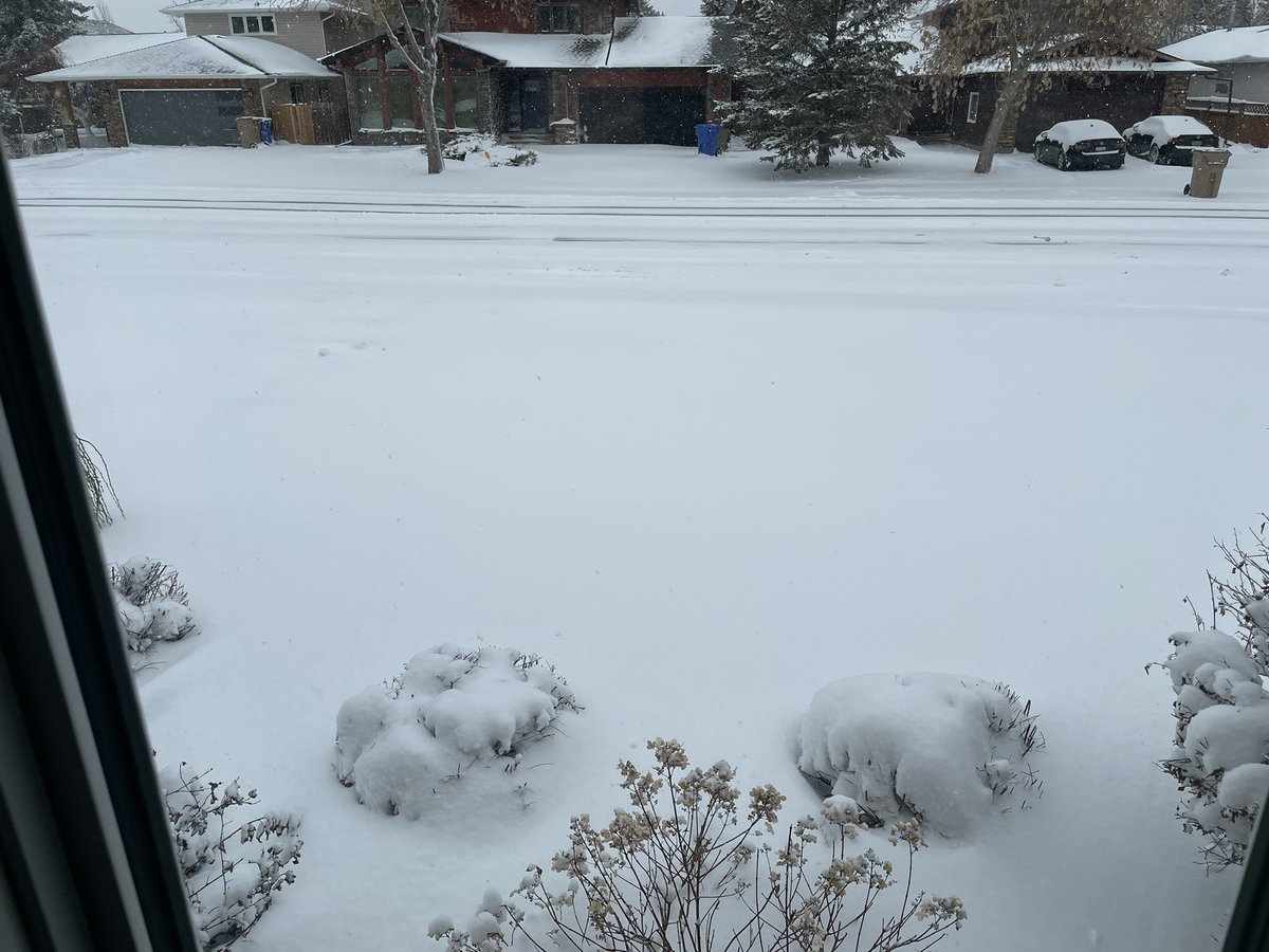 Lille1947's tweet image. What! It is worse today than it was yesterday! No walk today so I might as well make myself comfortable!
#springstorm #snow #dogsoftwitter #inside #comfortable