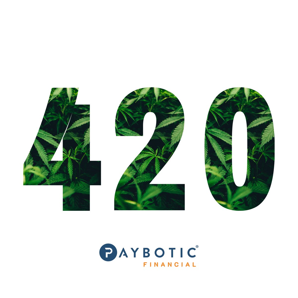 Paybotic Financial tweet media