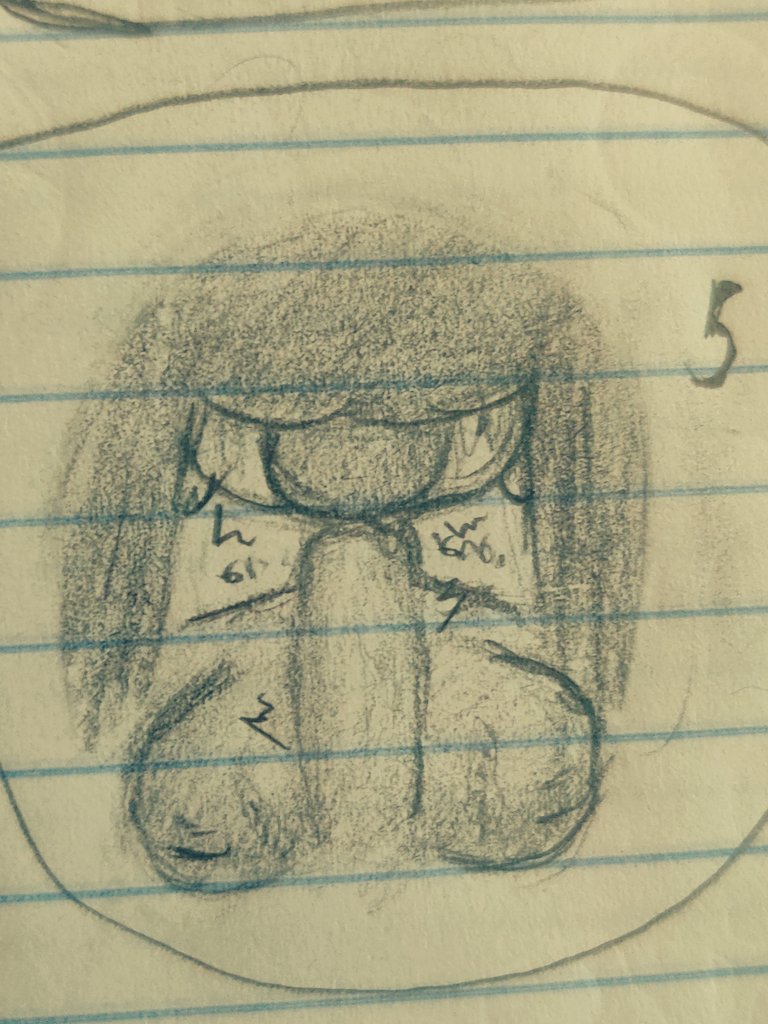 DiscoveryPapacy's tweet photo. All my homies HATE Persia <3

Hail Alexander. <3

#countryhumansnsfw 
#countryhumans
#persia
#macedonia https://t.co/ZGziHzO4Ik