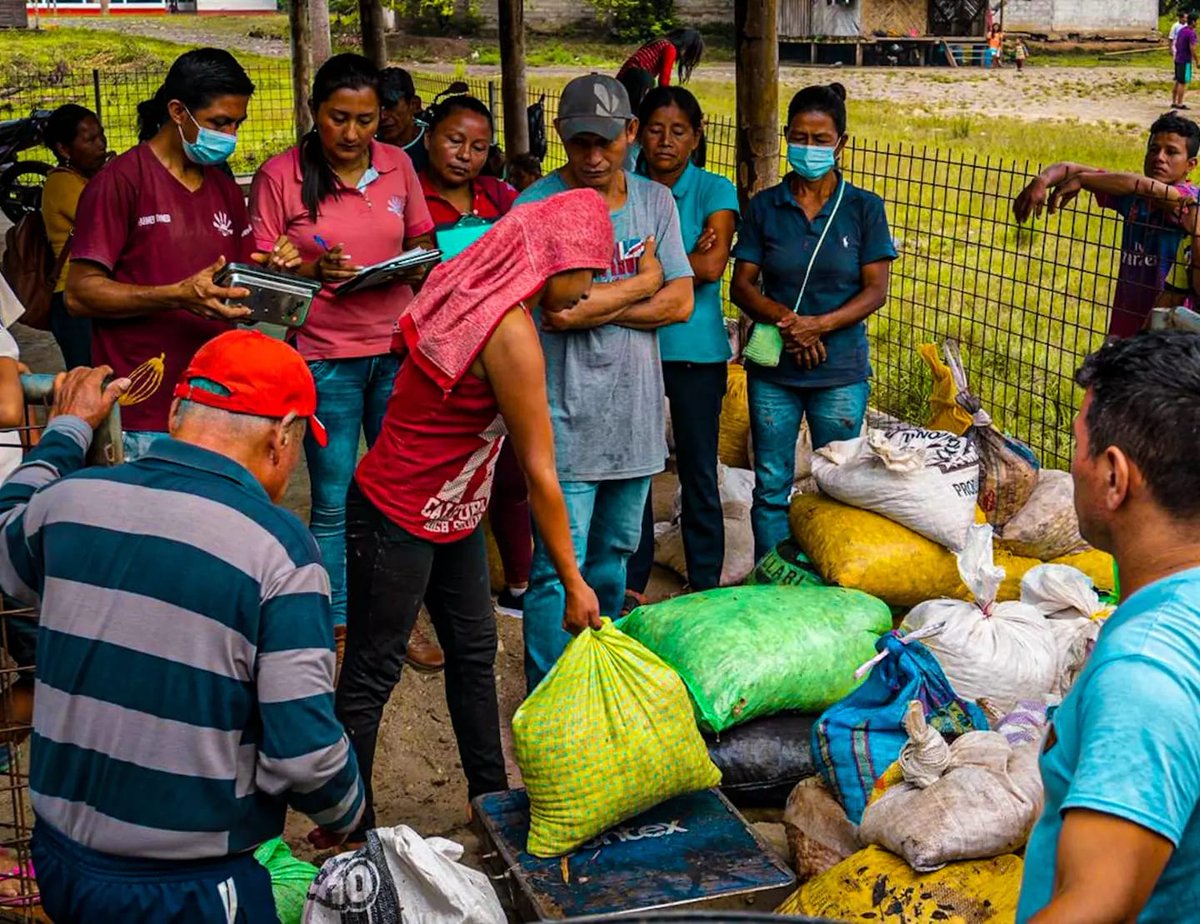 Kallari_ec's tweet photo. We continue touring the communities associated with the purchase of cocoa through different established routes. Advancing with the social, environmental, economic development of the communities and producers, guaranteeing to provide quality products to our clients and the world. https://t.co/DOgOOuk6cB
