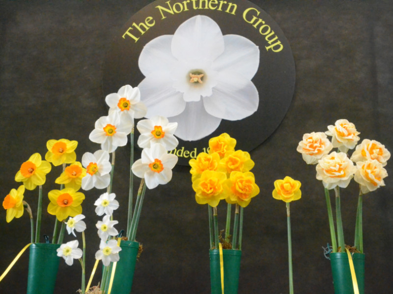MandyCanUDigIt's tweet photo. HOT OFF THE LAPTOP! My review of #HarrogateSpringFlowerShow. Congrats to Best in Show winners @plantagogo! Full Floral Art results - love the tributes to Vivienne Westwood. @HarrogateFlower #harrogateflowershow #gardening #gardenshour #gardeningtwitter https://t.co/GKkc0fOzC4 https://t.co/SPe3ttfneD