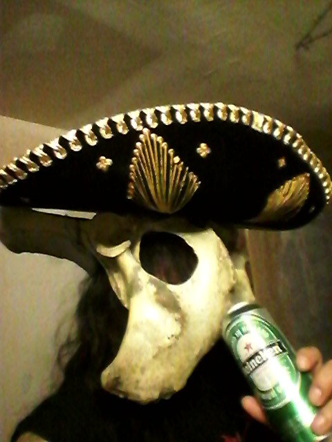 End to End tweet media