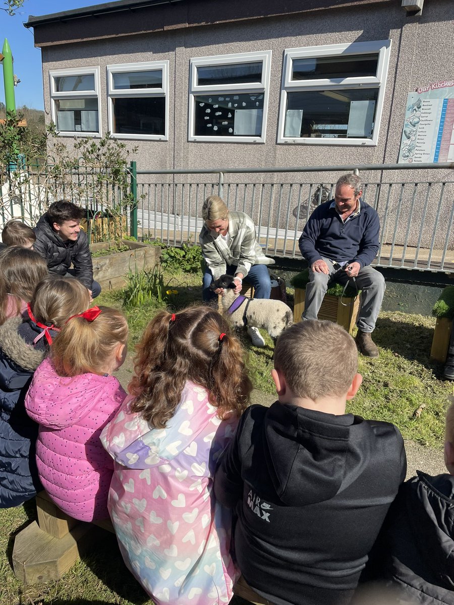 Mrs R McCarthy tweet media