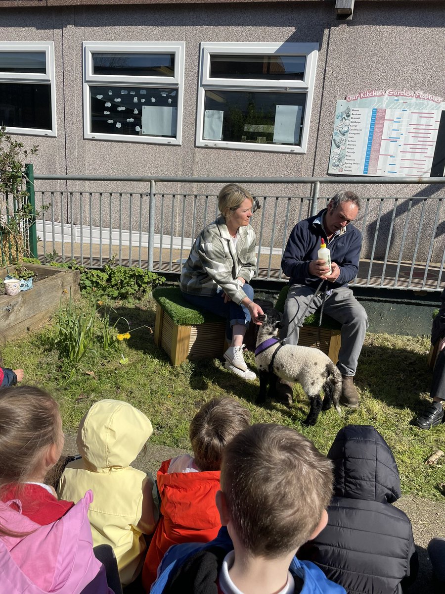 Mrs R McCarthy tweet media