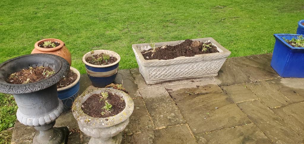 Dave Clark tweet media