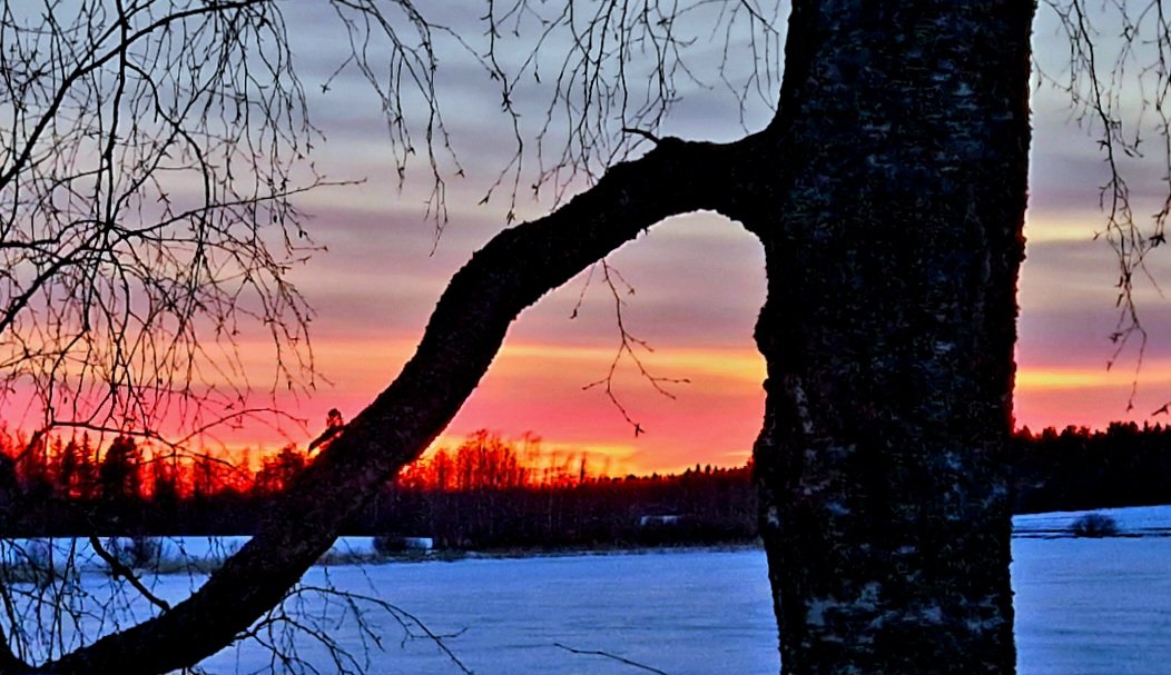 Onko olemassa palavaa taivasta? #kevät #luonto #Liperi #Pohjoiskarjala