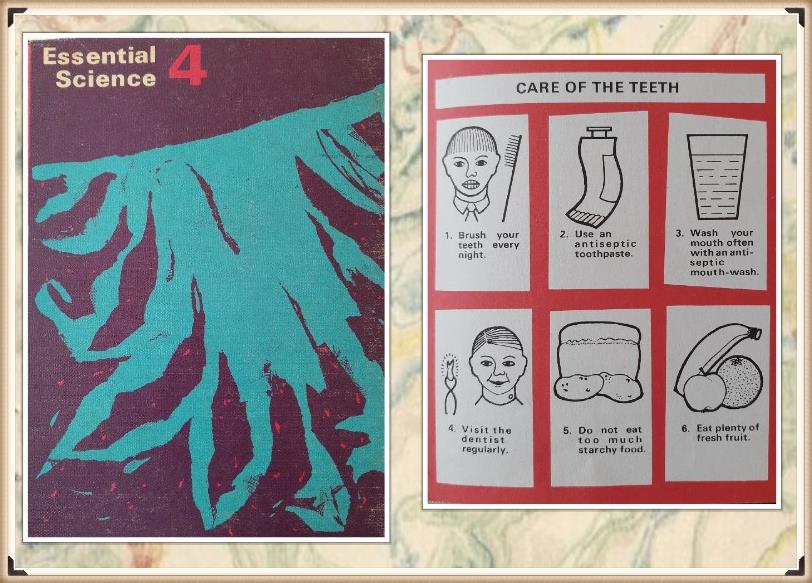 OldSchoolBooks1's tweet photo. Some info that's still relevant from a #vintage #sciencebook published in 1966 #EssentialScience #cleanyourteeth https://t.co/rfPGi8PYDG https://t.co/Vye4VLVpMI