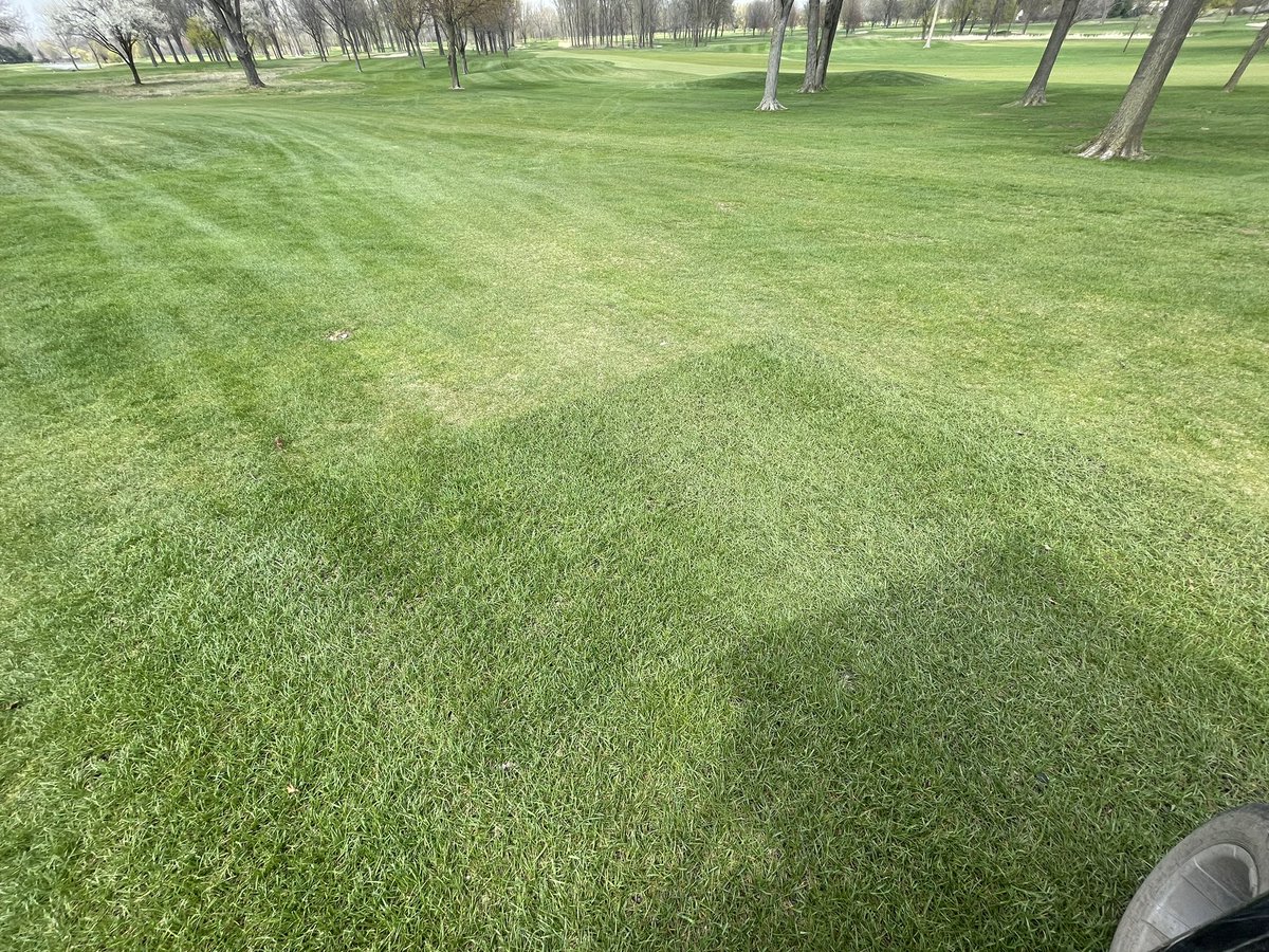 Scott Rettmann tweet media