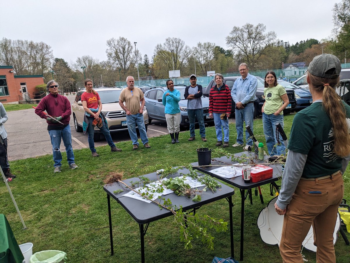 The Rockfall Foundation tweet media