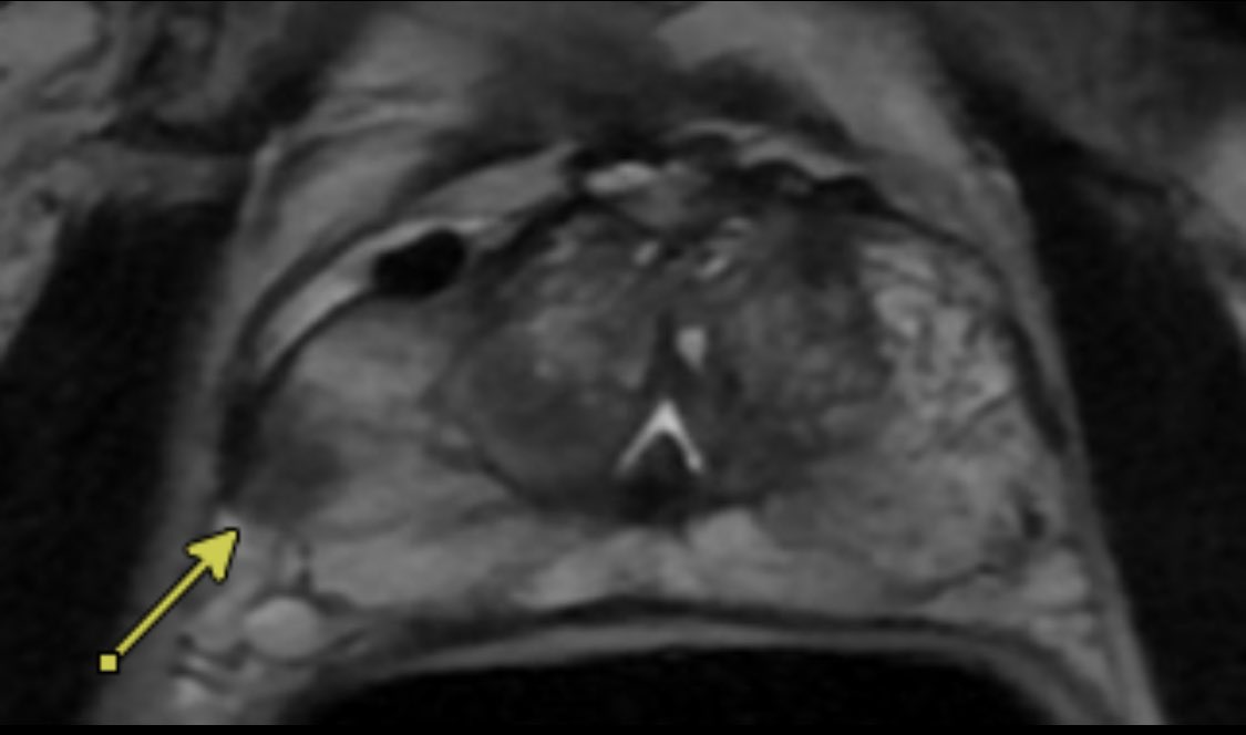 Ricardo Soares tweet media