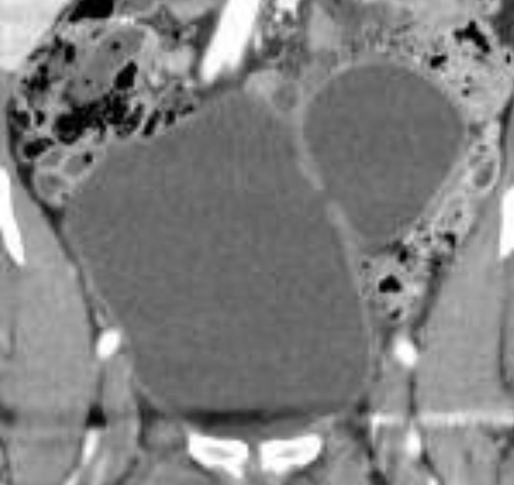 Ricardo Soares tweet media