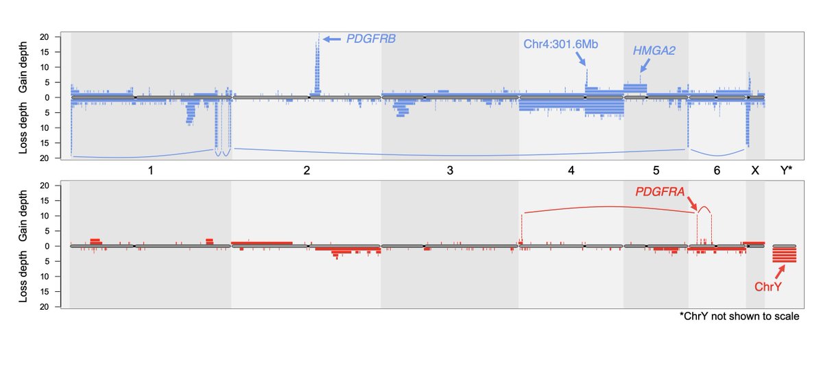 Max Stammnitz @maxstammnitz.bsky.social tweet media