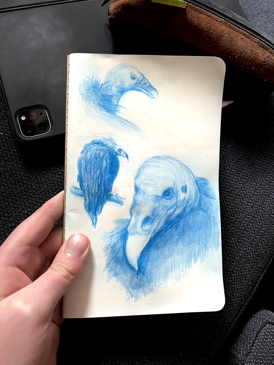 dausillustrati1 tweet picture