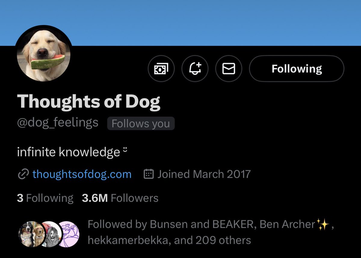 dogfather's tweet image. the dog lost their blue check i have no idea if these thoughts are coming from a real dog or not
