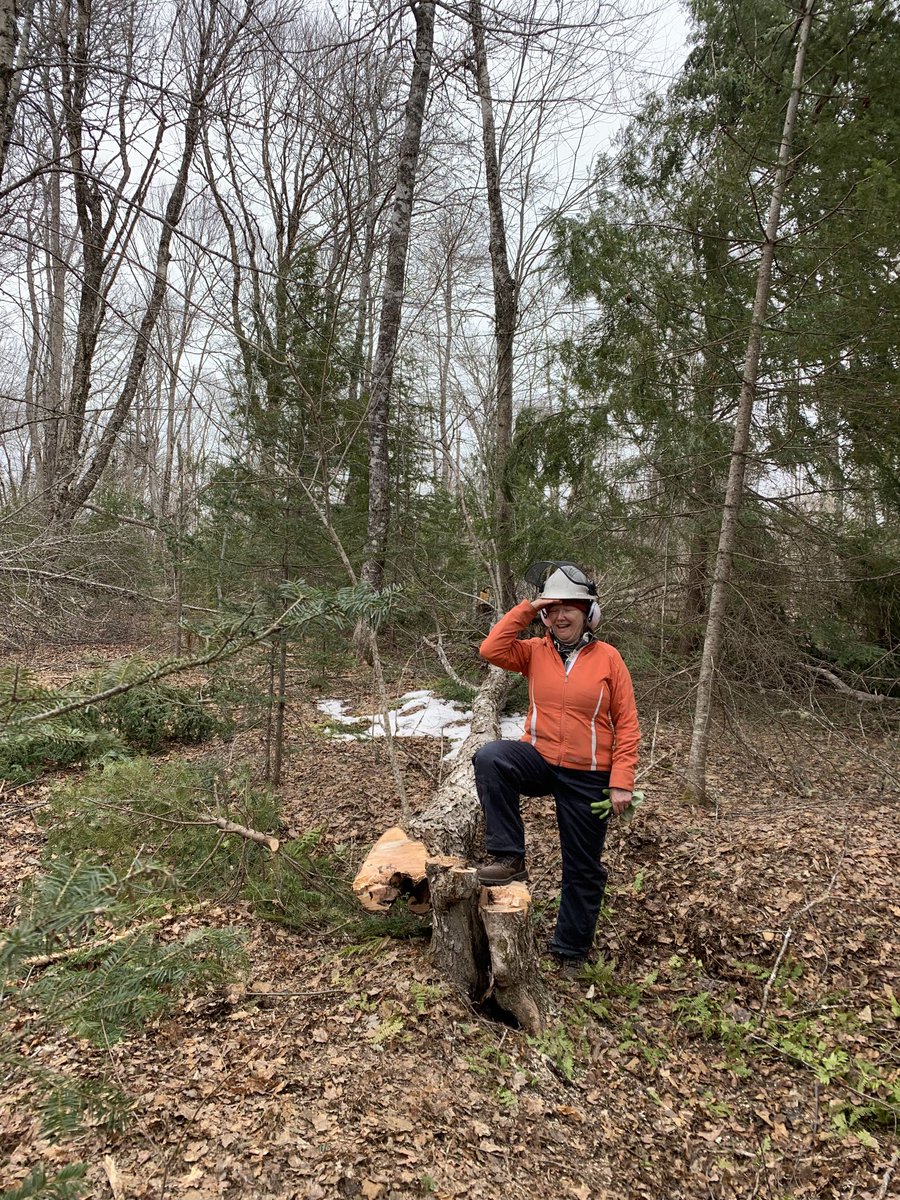 harperpei's tweet photo. That is me wiping my brow after cutting down my first big tree with a chainsaw. Thanks to the kind and patient instructors, and to the women who attended the introduction to chainsaw course! #MacphailWoods https://t.co/EVnL8Lt2Yu