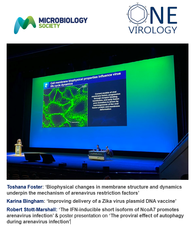 A fantastic showing at the 2023 Microbiology Society AGM. Congratulations to our presenters on Monday, Tuesday and Wednesday.
