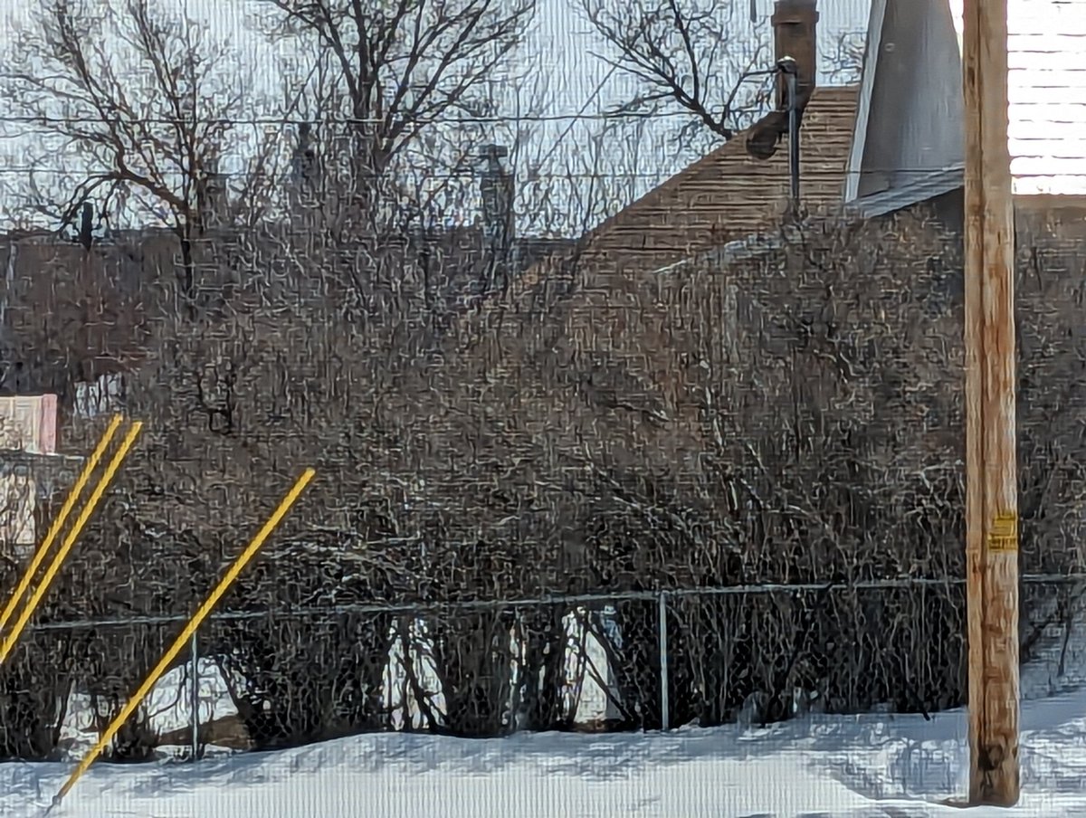 hcsnoke's tweet photo. Spring in #Wyoming! https://t.co/ENpEaS2fsJ