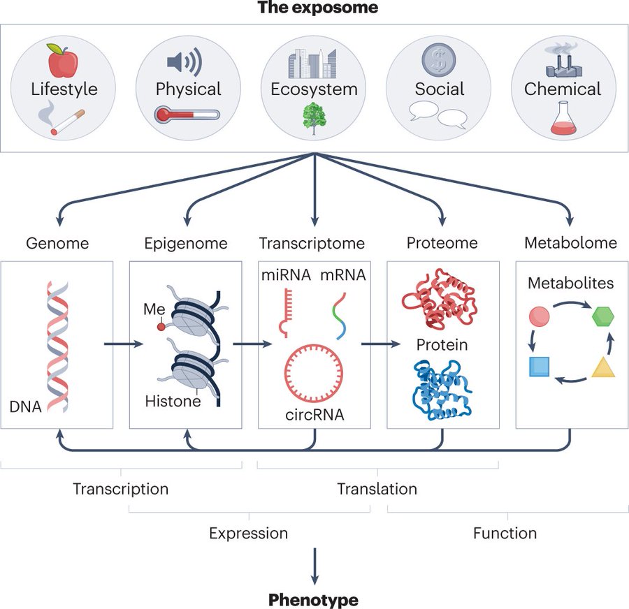 Molecular mechanisms of environmental exposures and human disease

@HWu17 @ChristinaE_MD
@BaccarelliLab

nature.com/articles/s4157…

@NatureRevGenet